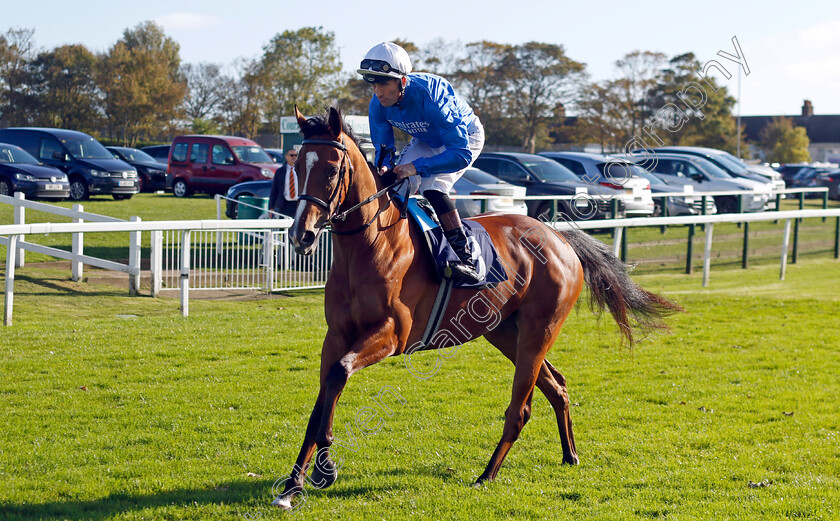 Bright-Future-0001 
 BRIGHT FUTURE (Dougie Costello)
Yarmouth 22 Oct 2024 - Pic Steven Cargill / Racingfotos.com