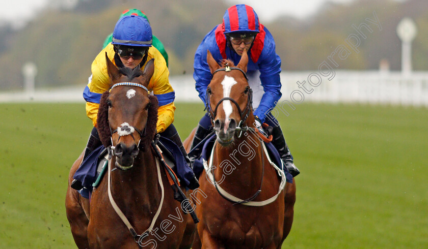 Stag-Horn-0003 
 STAG HORN (left, Hollie Doyle) with NAYEF ROAD (right, Ben Curtis)
Ascot 28 Apr 2021 - Pic Steven Cargill / Racingfotos.com