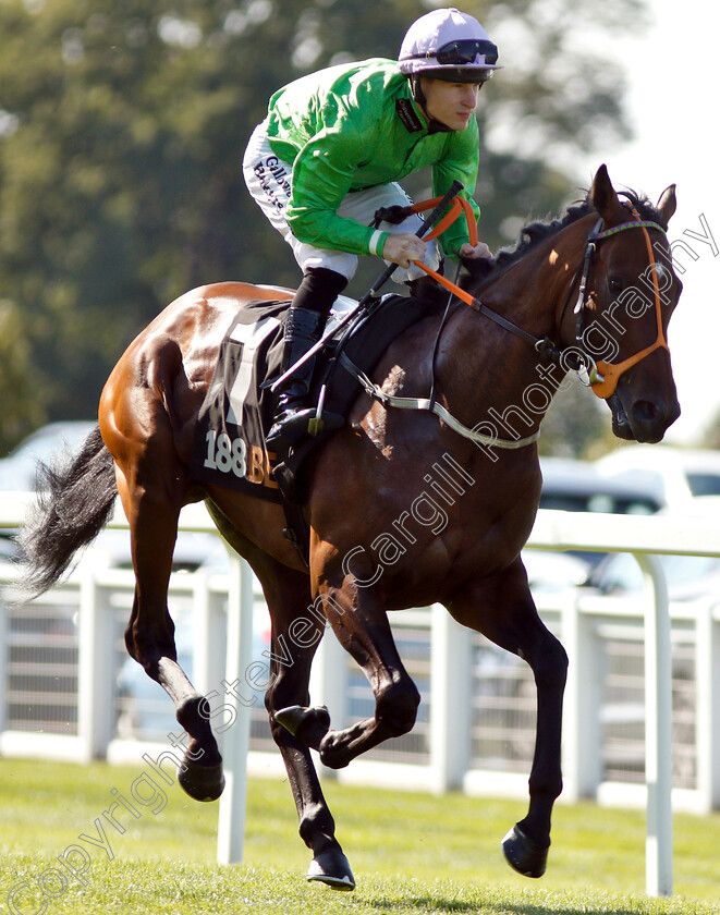 Arthur-Kitt-0001 
 ARTHUR KITT (Richard Kingscote)
Sandown 1 Sep 2018 - PIc Steven Cargill / Racingfotos.com