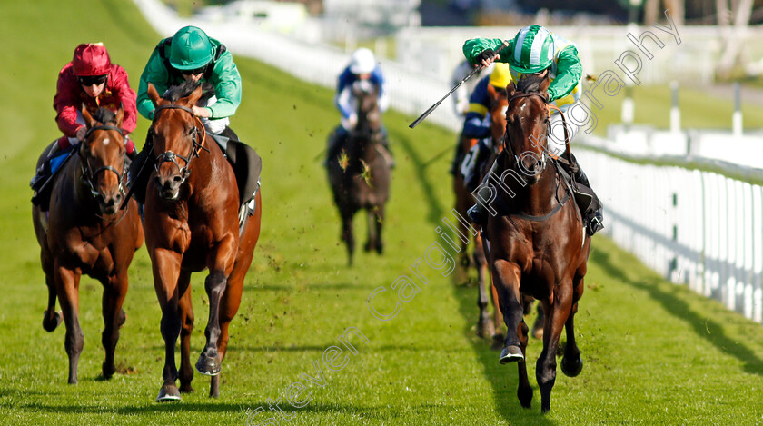 Caribou-0002 
 CARIBOU (right, Charles Bishop) beats MARKS BEAR (left) in The Download The tote Placepot App Irish EBF Novice Auction Stakes
Goodwood 11 Oct 2020 - Pic Steven Cargill / Racingfotos.com