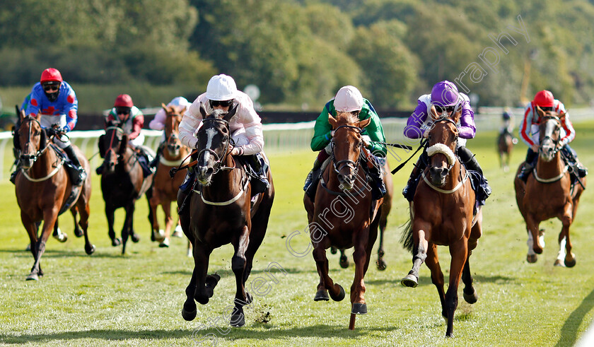 Whitehaven-0002 
 WHITEHAVEN (left, P J McDonald) beats UP THE AISLE (centre) and PRINCESS SIYOUNI (right) in The Betway Casino Classified Stakes
Lingfield 26 Aug 2020 - Pic Steven Cargill / Racingfotos.com