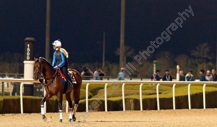 Super-Corinto-0002 
 SUPER CORINTO training for the Dubai World Cup
Meydan, Dubai, 23 Mar 2023 - Pic Steven Cargill / Racingfotos.com