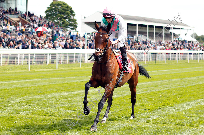 Mori-0001 
 MORI (Ryan Moore)
York 17 May 2018 - Pic Steven Cargill / Racingfotos.com