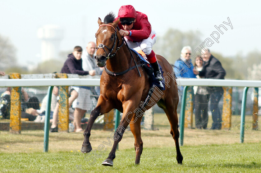 King-Of-Comedy-0006 
 KING OF COMEDY (Frankie Dettori) wins The Eastern Power Systems Of Norwich Novice Stakes
Yarmouth 23 Apr 2019 - Pic Steven Cargill / Racingfotos.com