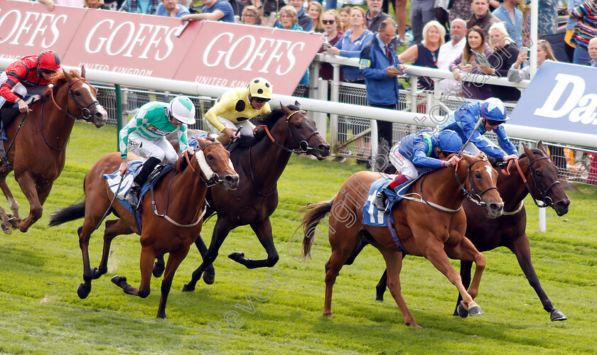 Poet s-Society-0002 
 POET'S SOCIETY (Frankie Dettori) wins The Clipper Logistics Handicap making Mark Johnston the winningmost trainer in UK 
York 23 Aug 2018 - Pic Steven Cargill / Racingfotos.com