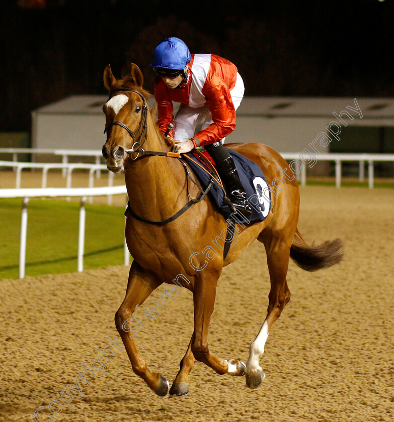 Regal-Banner-0001 
 REGAL BANNER (Jack Mitchell)
Wolverhampton 10 Dec 2018 - Pic Steven Cargill / Racingfotos.com