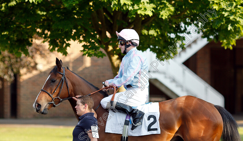 Hotsy-Totsy-0001 
 HOTSY TOTSY (Liam Keniry) before The 32Red Casino Novice Median Auction Stakes
Kempton 22 May 2019 - Pic Steven Cargill / Racingfotos.com