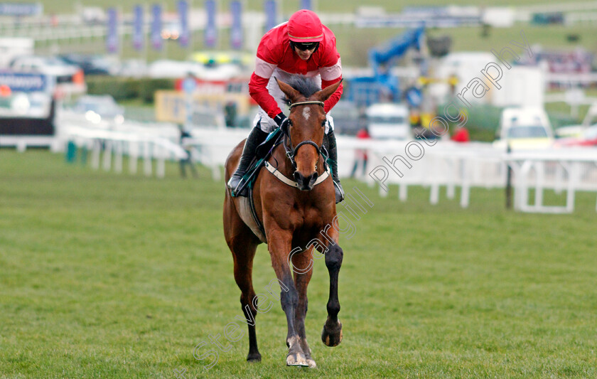 Laurina-0003 
 LAURINA (Paul Townend) wins The Trull House Stud Mares Novices Hurdle Cheltenham 15 Mar 2018 - Pic Steven Cargill / Racingfotos.com