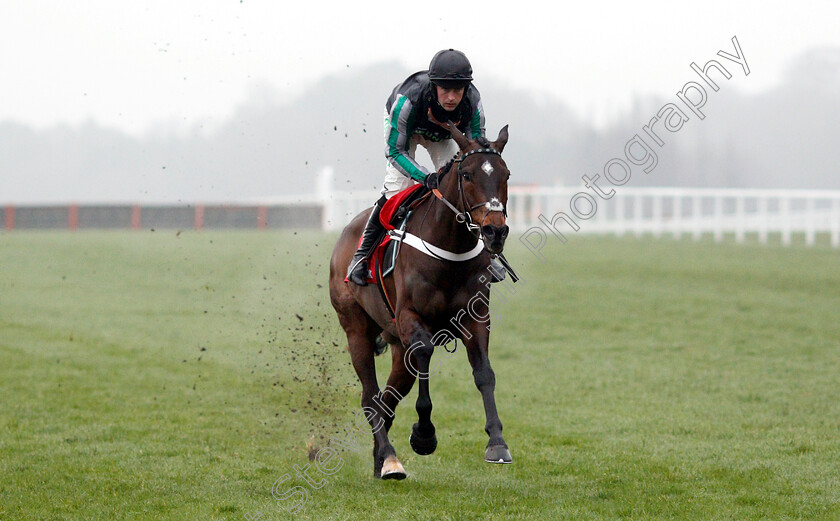 Altior-0005 
 ALTIOR (Nico De Boinville) wins The Matchbook Clarence House Chase
Ascot 19 Jan 2019 - Pic Steven Cargill / Racingfotos.com