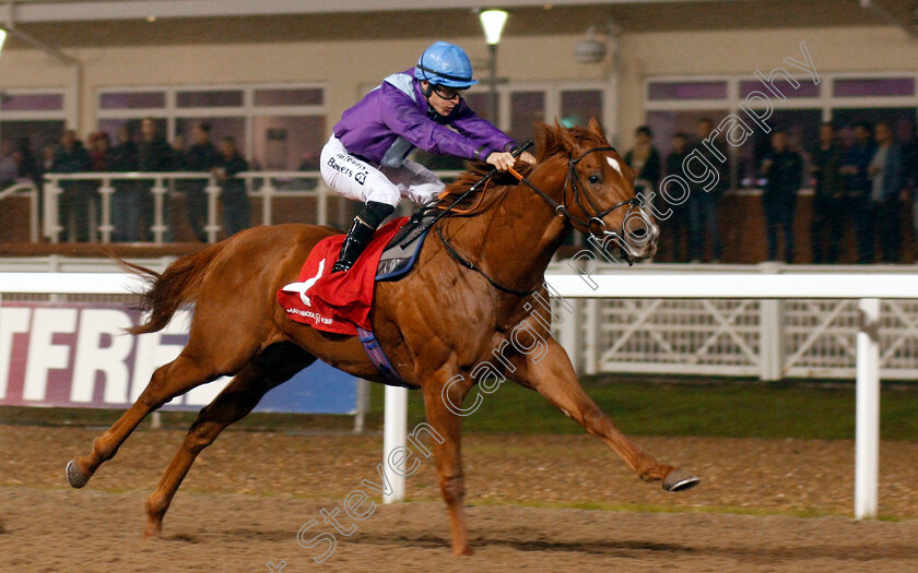 Great-Ambassador-0007 
 GREAT AMBASSADOR (Richard Kingscote) wins The Matchbook EBF Future Stayers Novice Stakes
Chelmsford 28 Nov 2019 - Pic Steven Cargill / Racingfotos.com