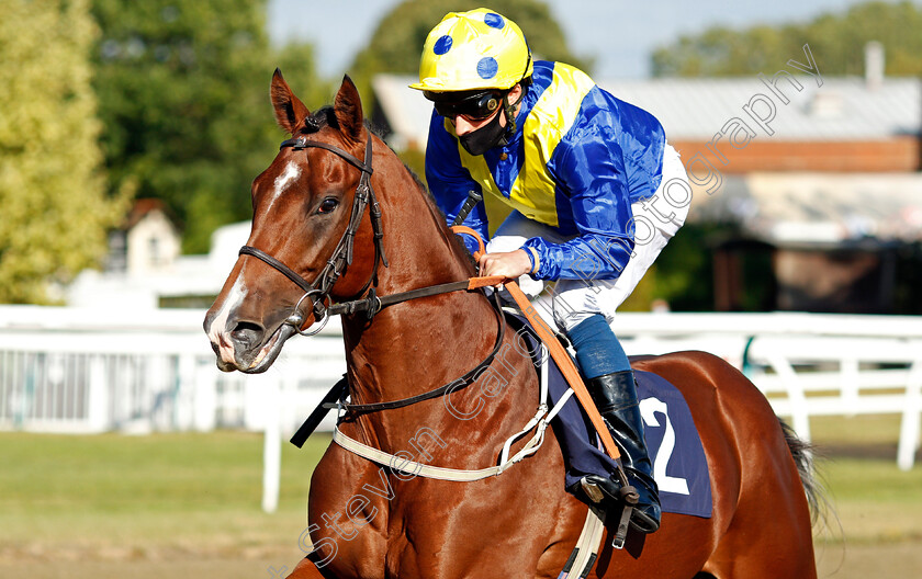 Chase-That-Dream-0001 
 CHASE THAT DREAM (William Buick)
Lingfield 4 Aug 2020 - Pic Steven Cargill / Racingfotos.com