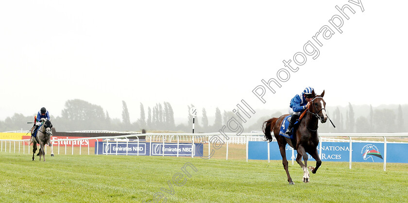 No-And-No-Al-Maury-0002 
 NO AND NO AL MAURY (Francois Xavier Bertras) wins The UAE Embassy In London International Stakes
Newbury 29 Jul 2018 - Pic Steven Cargill / Racingfotos.com