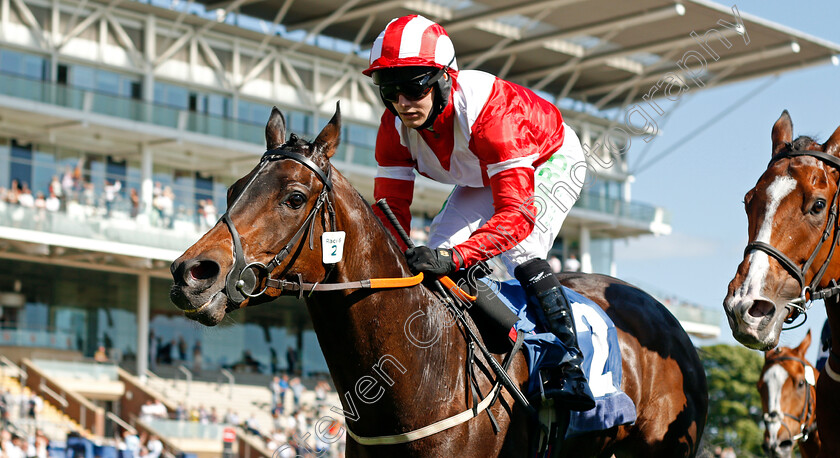 La-Trinidad-0002 
 LA TRINIDAD (Jason Hart) wins The Ice Co Supporting Macmillan Handicap
York 12 Jun 2021 - Pic Steven Cargill / Racingfotos.com