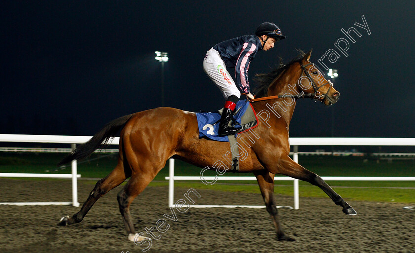 Great-Sound-0001 
 GREAT SOUND (Shane Kelly) Kempton 11 Apr 2018 - Pic Steven Cargill / Racingfotos.com