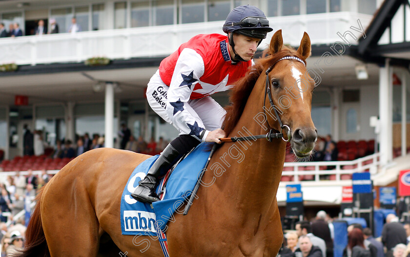 Proschema-0001 
 PROSCHEMA (Richard Kingscote) 
Chester 9 May 2018 - Pic Steven Cargill / Racingfotos.com