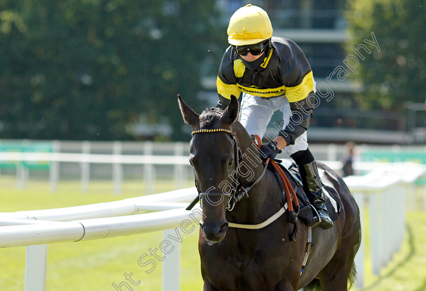 Bond-Chairman-0001 
 BOND CHAIRMAN (Graham Lee)
Newbury 16 Jul 2021 - Pic Steven Cargill / Racingfotos.com