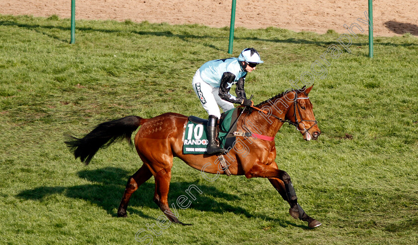 Tenor-Nivernais-0001 
 TENOR NIVERNAIS (Tom O'Brien) Aintree 14 Apr 2018 - Pic Steven Cargill / Racingfotos.com