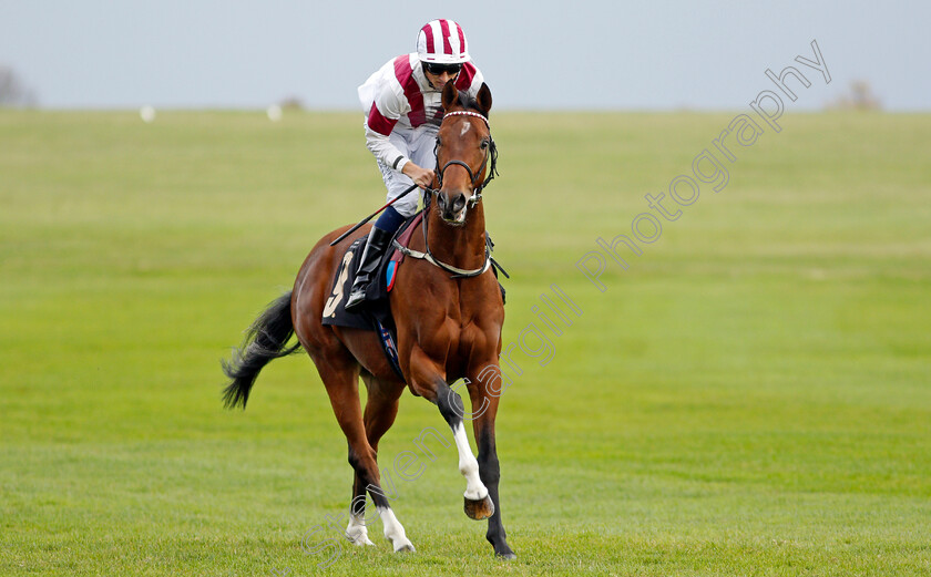 Rodolfo-0002 
 RODOLFO (George Wood)
Newmarket 29 Oct 2021 - Pic Steven Cargill / Racingfotos.com