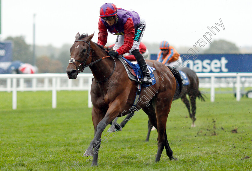 Di-Fede-0004 
 DI FEDE (Harry Bentley) wins The Neptune Investment Management British EBF October Stakes
Ascot 6 Oct 2018 - Pic Steven Cargill / Racingfotos.com