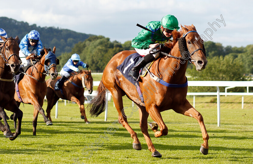 Castlerea-Tess-0002 
 CASTLEREA TESS (Rob Hornby) wins The comparebettingsites.com Best Betting Site Handicap
Chepstow 2 Jul 2019 - Pic Steven Cargill / Racingfotos.com