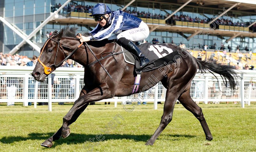 Theotherside-0004 
 THEOTHERSIDE (Pat Dobbs) wins The British Stallion Studs EBF Maiden Stakes Div1
Newbury 20 Sep 2019 - Pic Steven Cargill / Racingfotos.com