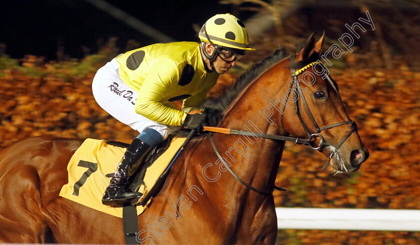 Immortal-Knight-0005 
 IMMORTAL KNIGHT (Raul Da Silva) winner of The Unibet More Boosts In More Races EBF Novice Stakes Div2
Kempton 6 Dec 2023 - Pic Steven Cargill / Racingfotos.com