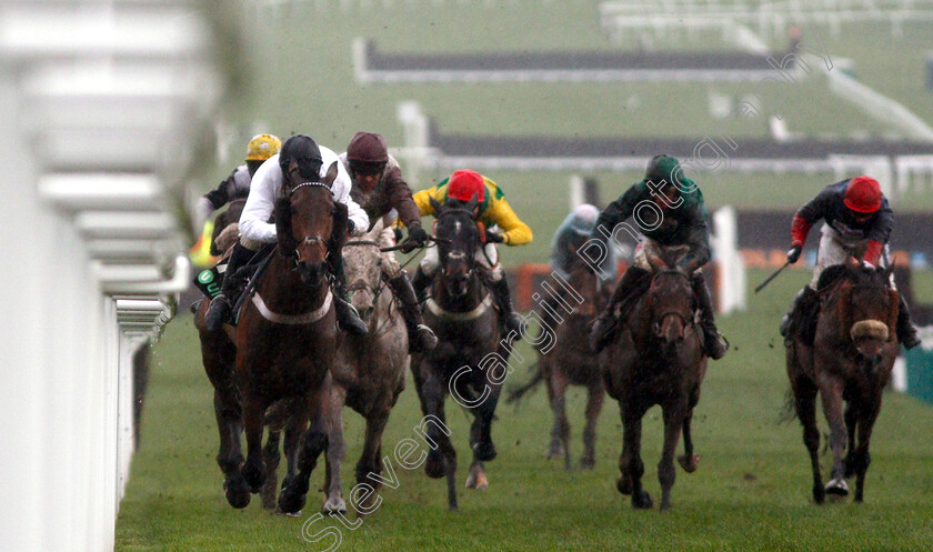 Brain-Power-0003 
 BRAIN POWER (Nico de Boinville) wins The Unibet International Hurdle
Cheltenham 15 Dec 2018 - Pic Steven Cargill / Racingfotos.com