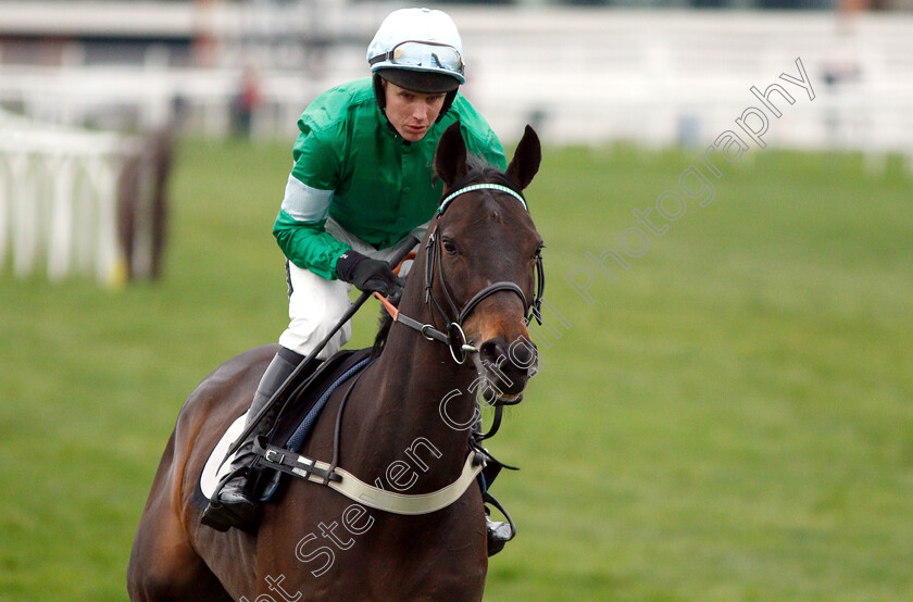 Madiba-Passion-0001 
 MADIBA PASSION (Tom Cannon)
Newbury 22 Mar 2019 - Pic Steven Cargill / Racingfotos.com