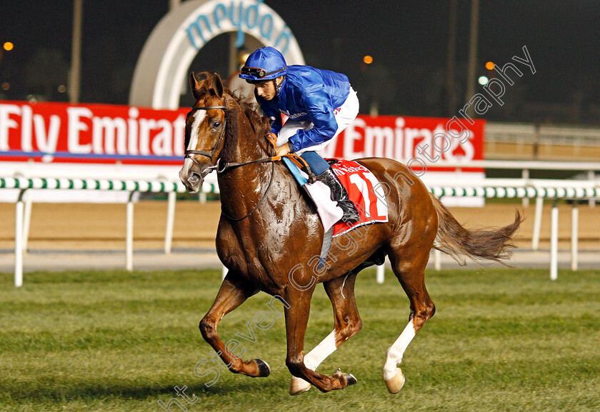 Hawkbill-0016 
 HAWKBILL (William Buick) winner of The Dubai City Of Gold Meydan 10 Mar 2018 - Pic Steven Cargill / Racingfotos.com