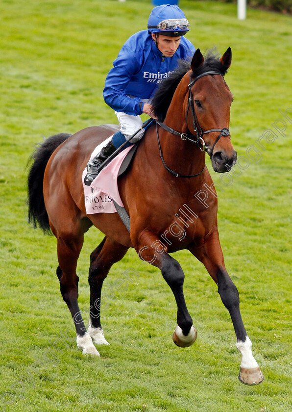 New-London-0001 
 NEW LONDON (William Buick)
Chester 4 May 2022 - Pic Steven Cargill / Racingfotos.com