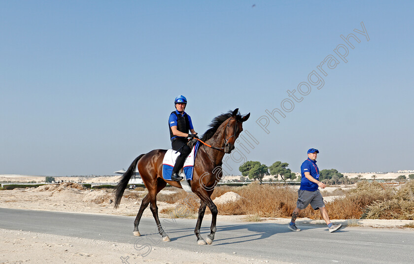 Loxley-0002 
 LOXLEY training for the Bahrain International Trophy
Rashid Equestrian & Horseracing Club, Bahrain, 19 Nov 2020 - Pic Steven Cargill / Racingfotos.com