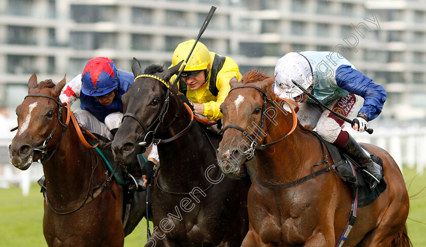 Ritchie-Valens-0007 
 RITCHIE VALENS (right, Oisin Murphy) beats TAMMOOZ (centre) and FANTASTIC BLUE (left) in The Oakgrove Graduates Handicap
Newbury 6 Aug 2019 - Pic Steven Cargill / Racingfotos.com