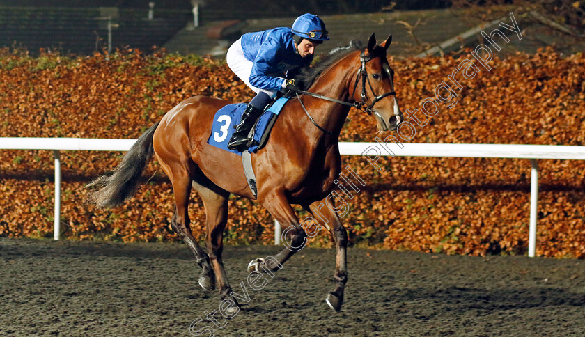 El-Cordobes-0002 
 EL CORDOBES (William Buick)
Kempton 6 Dec 2023 - Pic Steven Cargill / Racingfotos.com