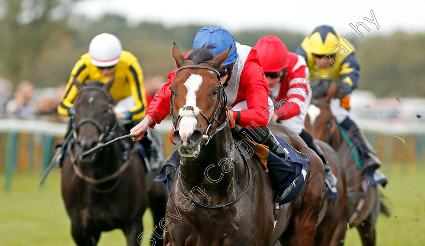 Regal-Reality-0006 
 REGAL REALITY (Ryan Moore) wins The Hobgoblin Legendary Ruby Ale EBF Maiden Stakes Div2 Yarmouth 20 Sep 2017 - Pic Steven Cargill / Racingfotos.com