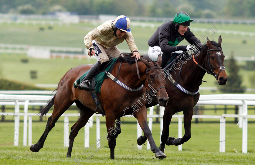 Hazel-Hill-0006 
 HAZEL HILL (left, Alex Edwards) beats CARYTO DES BROSSES (right) in The Timico Mixed Open Gold Cup Final Hunters Chase
Cheltenham 3 May 2019 - Pic Steven Cargill / Racingfotos.com