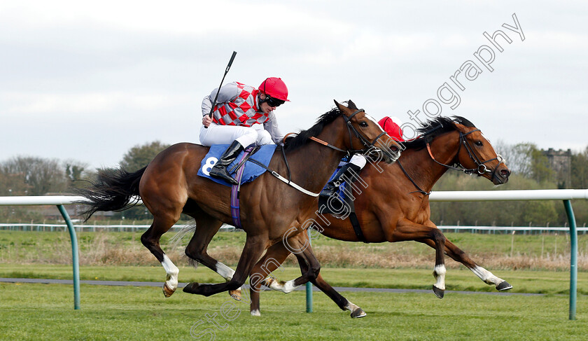 Mayfair-Spirit-0002 
 MAYFAIR SPIRIT (right, Stevie Donohoe) beats CUBAN SUN (left) in The Follow @racingtv On Twitter Handicap Div2
Nottingham 10 Apr 2019 - Pic Steven Cargill / Racingfotos.com