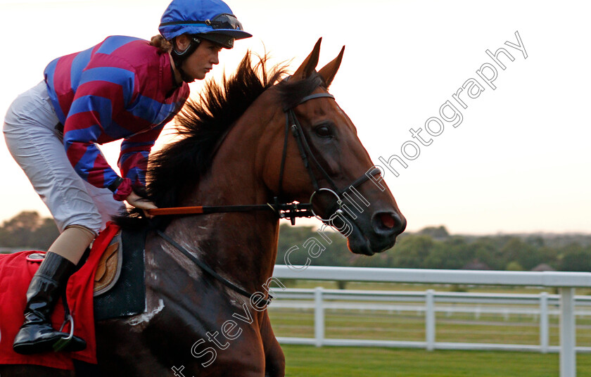 Tynecastle-Park-0002 
 TYNECASTLE PARK (Molly Presland)
Sandown 21 Jul 2021 - Pic Steven Cargill / Racingfotos.com