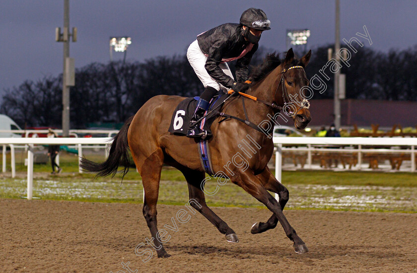 Shecandoo-0001 
 SHECANDOO (Tom Eaves)
Chelmsford 14 Jan 2021 - Pic Steven Cargill / Racingfotos.com