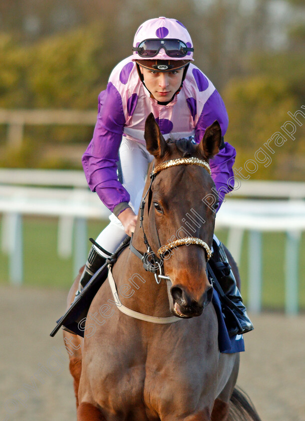 Daisy-Green-0001 
 DAISY GREEN (Thore Hammer Hansen)
Lingfield 8 Feb 2020 - Pic Steven Cargill / Racingfotos.com