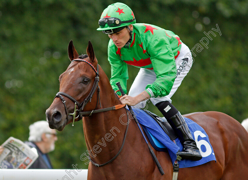 Level-Up-0001 
 LEVEL UP (Kieran Shoemark)
Salisbury 11 Aug 2021 - Pic Steven Cargill / Racingfotos.com