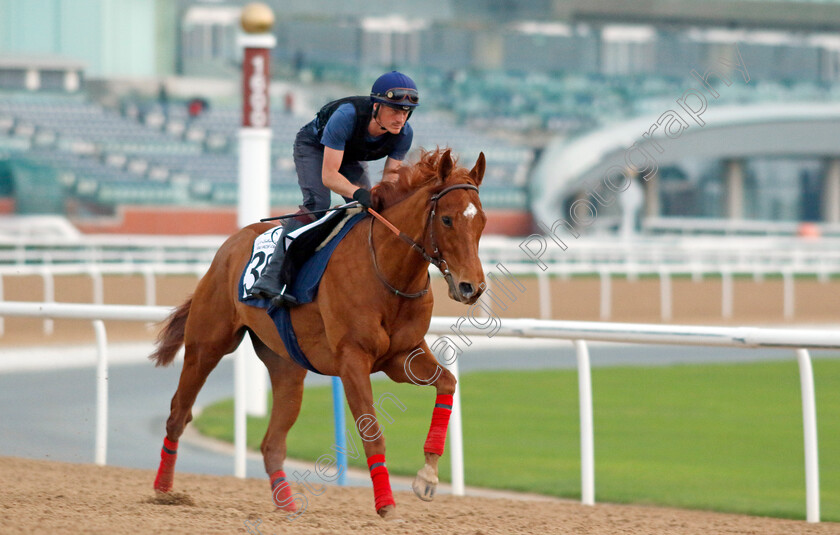 Track-Of-Time-0001 
 TRACK OF TIME training at the Dubai Racing Carnival 
Meydan 4 Jan 2024 - Pic Steven Cargill / Racingfotos.com