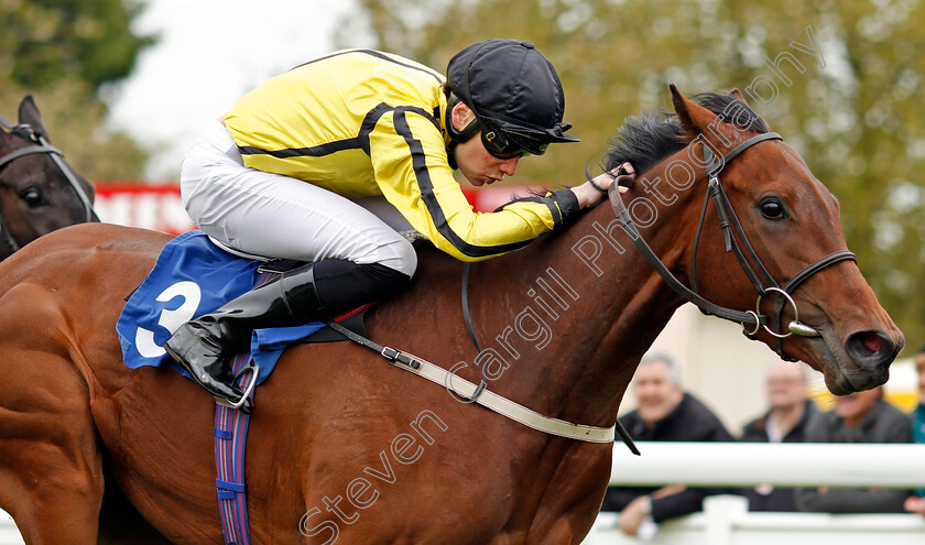 Can-Can-Sixty-Two-0004 
 CAN CAN SIXTY TWO (Callum Shepherd) wins The CPA Scaffolding Handicap Salisbury 30 Apr 2018 - Pic Steven Cargill / Racingfotos.com