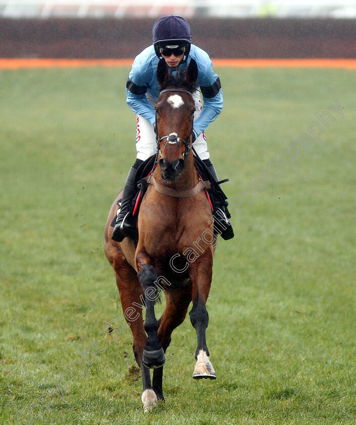 Posh-Trish-0001 
 POSH TRISH (Harry Cobden) winner of The Ladbrokes Mares Novices Hurdle
Newbury 1 Dec 2018 - Pic Steven Cargill / Racingfotos.com