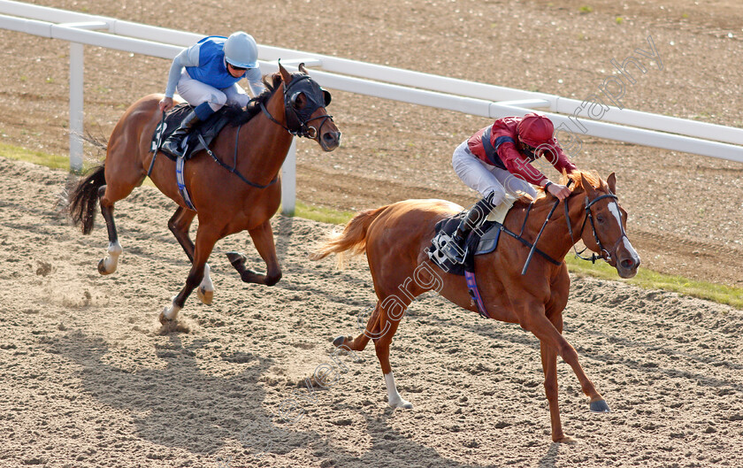 Sheila-0004 
 SHEILA (James Doyle) wins The tote.co.uk Free Streaming Every Uk Race Handicap Div2
Chelmsford 20 Sep 2020 - Pic Steven Cargill / Racingfotos.com