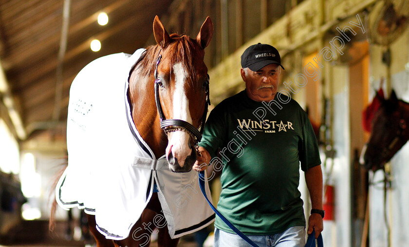 Justify-0024 
 JUSTIFY after exercising in preparation for The Belmont Stakes
Belmont Park USA 7 Jun 2018 - Pic Steven Cargill / Racingfotos.com