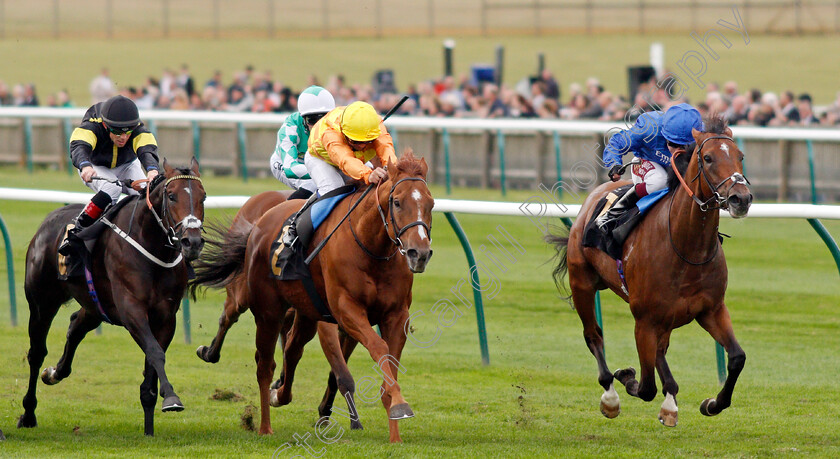 Dubai-Legacy-0004 
 DUBAI LEGACY (Oisin Murphy) beats SPANISH CITY (centre) and VITRALITE (left) in The Newmarket Journal And Velvet Magazine Handicap
Newmarket 28 Sep 2019 - Pic Steven Cargill / Racingfotos.com