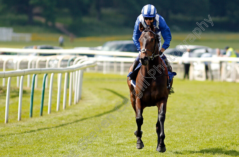 Jadwal-0001 
 JADWAL (Jim Crowley)
York 12 Jun 2021 - Pic Steven Cargill / Racingfotos.com