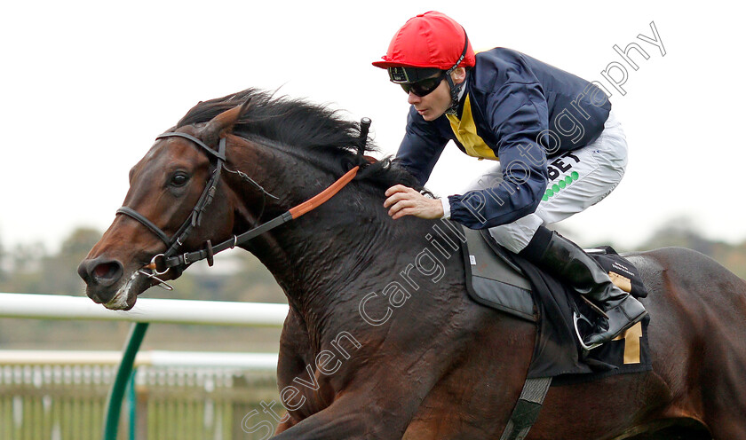 Brentford-Hope-0007 
 BRENTFORD HOPE (Jamie Spencer) wins The Coates & Seely Brut Reserve Maiden Stakes
Newmarket 23 Oct 2019 - Pic Steven Cargill / Racingfotos.com