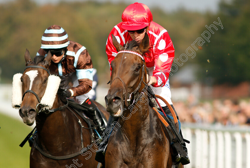 Curious-Fox-0006 
 CURIOUS FOX (David Probert) wins The Netbet Betmaker Fillies Handicap
Goodwood 4 Sep 2018 - Pic Steven Cargill / Racingfotos.com