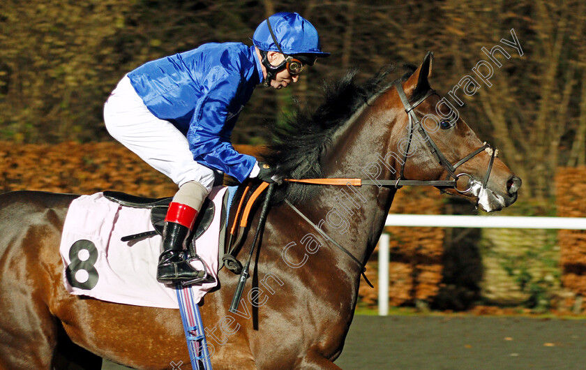 Returning-Glory-0002 
 RETURNING GLORY (Jimmy Quinn) Kempton 13 Dec 2017 - Pic Steven Cargill / Racingfotos.com